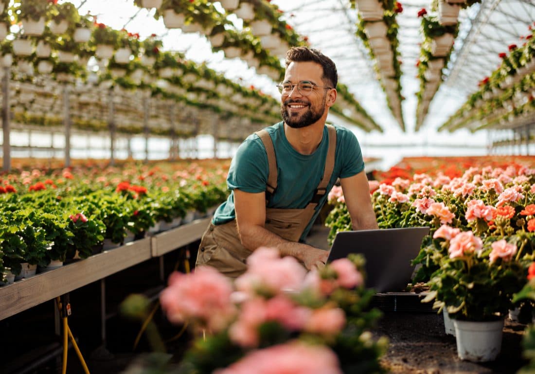 A grower works on a laptop among the flowers in a sunlit greenhouse